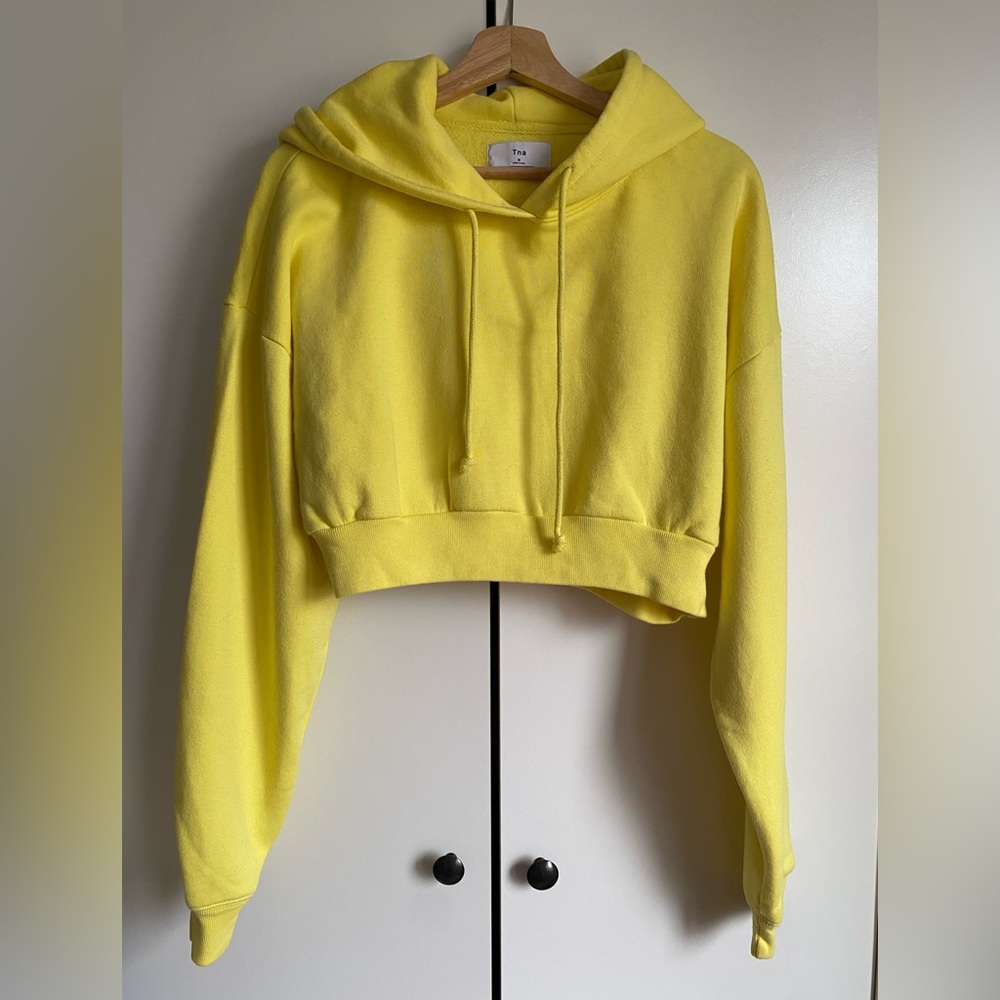 ARITZIA tna cropped hoodie